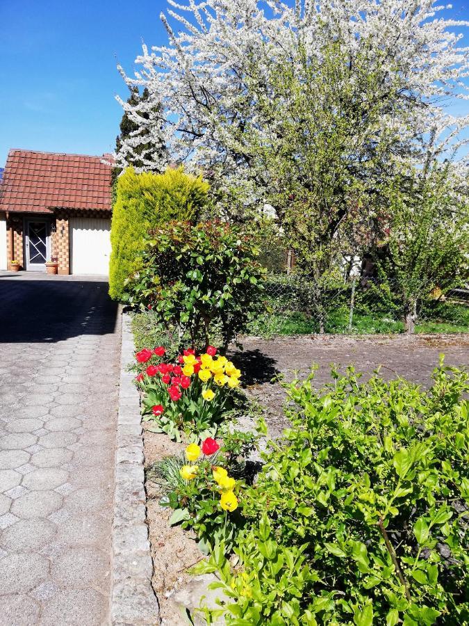 Ferienappartement Obrigheim Mosbach  Luaran gambar